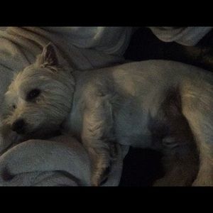 Meet your Posher, Aleksandra